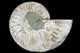Agatized Ammonite Fossil (Half) - Crystal Chambers #88265-1